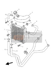 Radiator & Slang